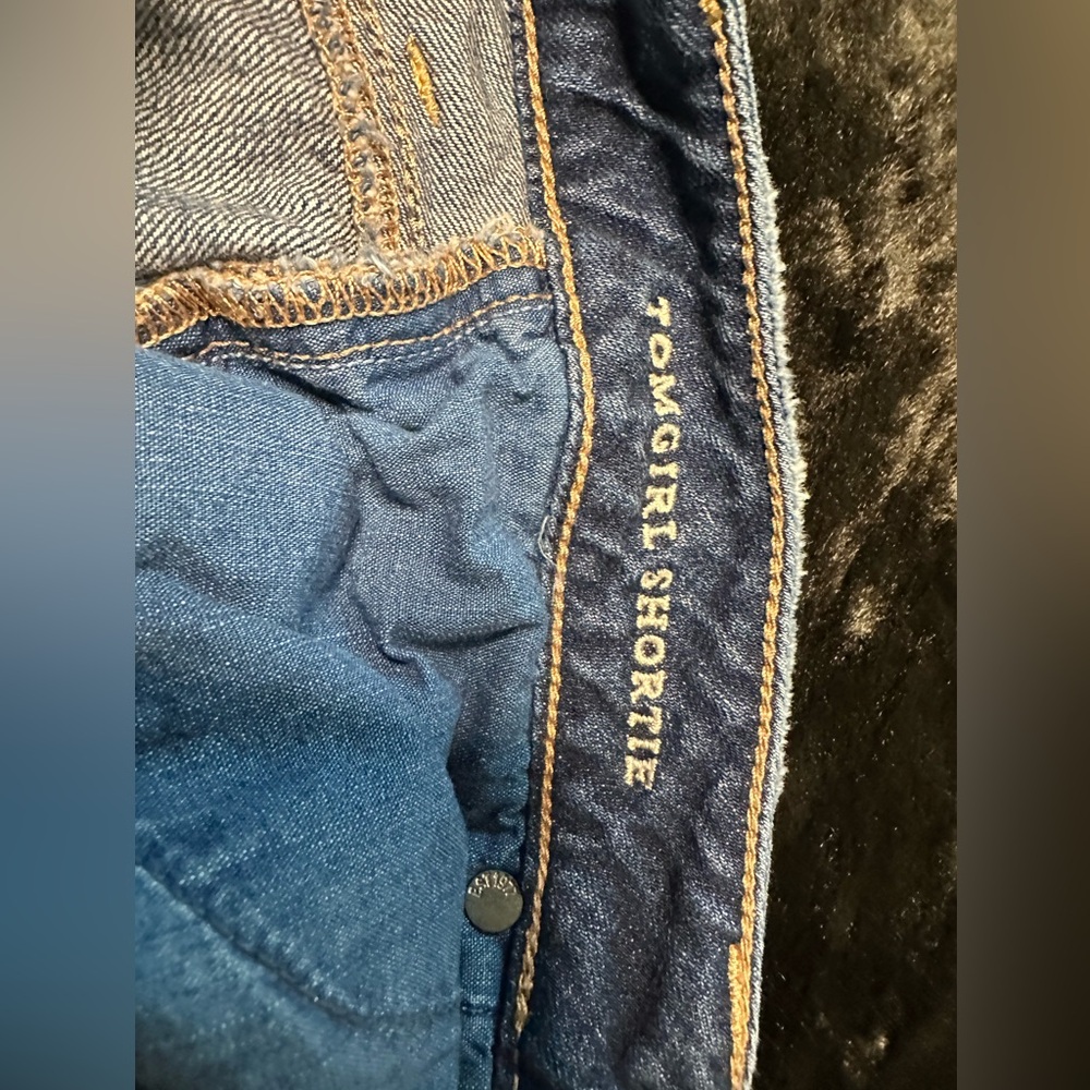 American eagle - Picture 3 of 5
